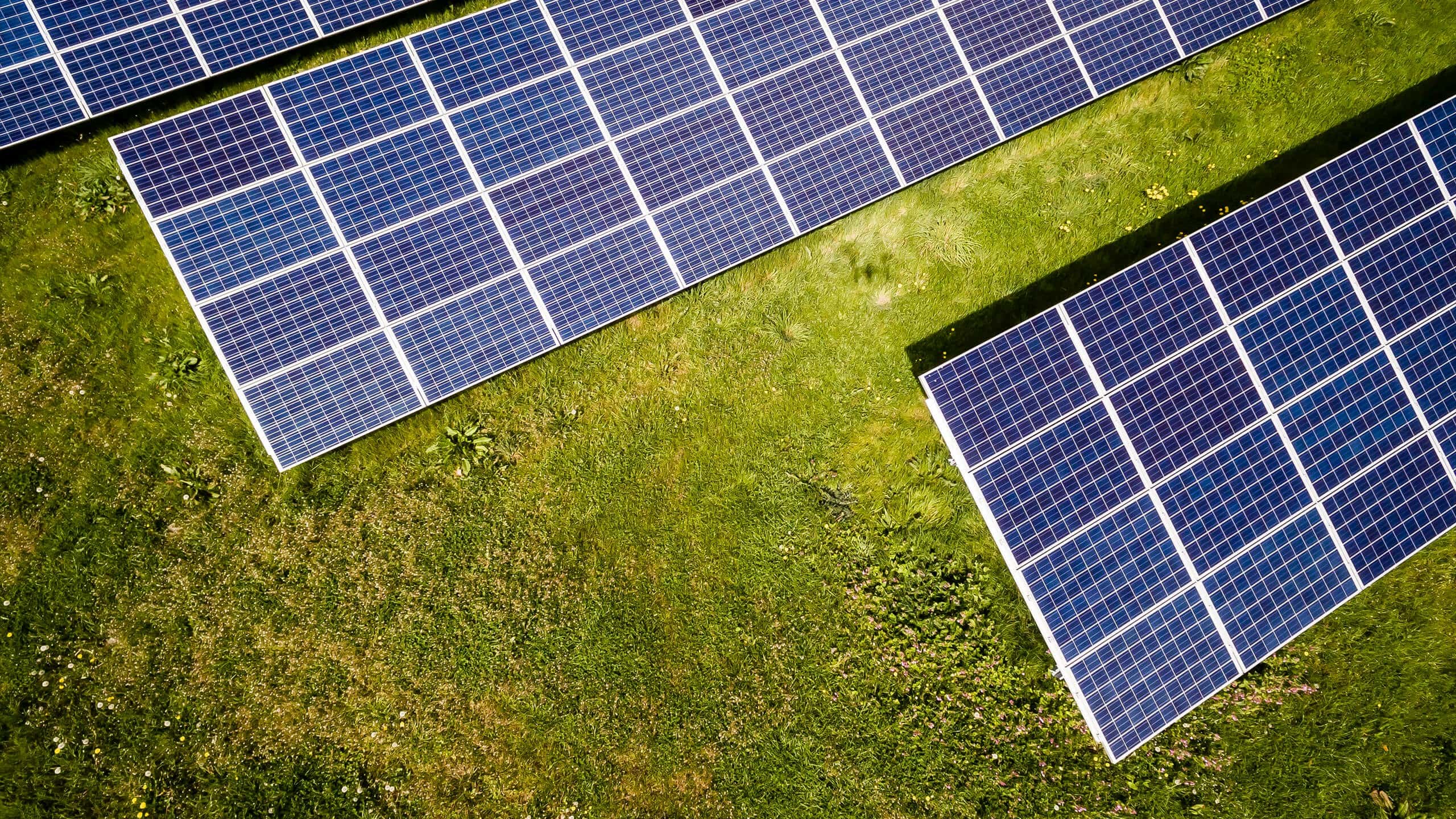 An overview shot of solar panels in a grassy area.